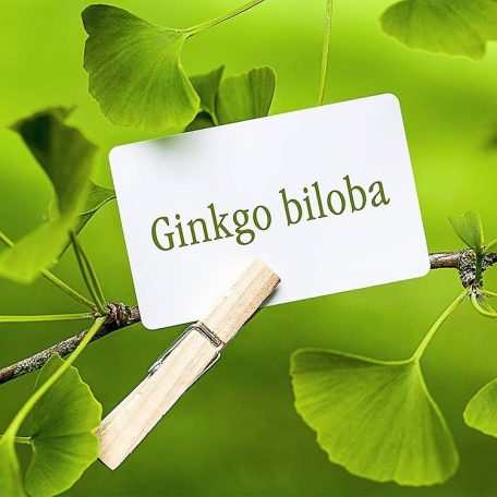 Caleido Ginkgo Biloba 90 tabletta