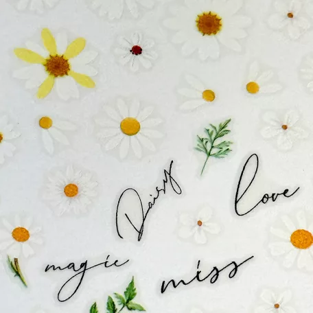 Körömmatrica - Daisy - Perfect Nails