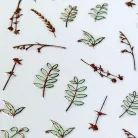 Körömmatrica - Basic Leaves - Perfect Nails