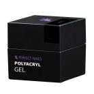 Perfect PolyAcryl Gel - Polygel Clear 50g - Perfect Nails