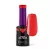 HEMA FREE Gél Lakk - Spicy - 8ml - Perfect Nails