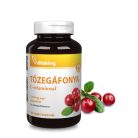 Vitaking TőzegÁfonya 504mg 180 kapszula